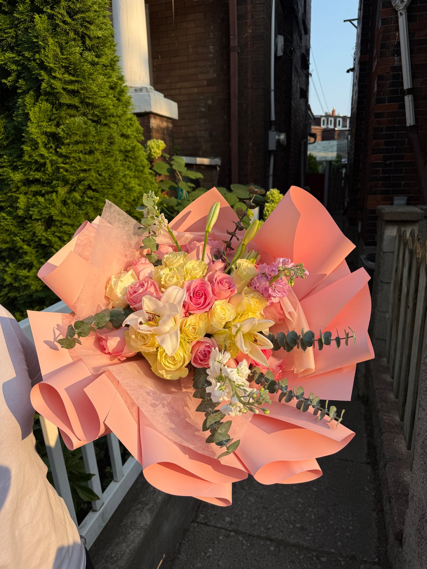Rose lily love