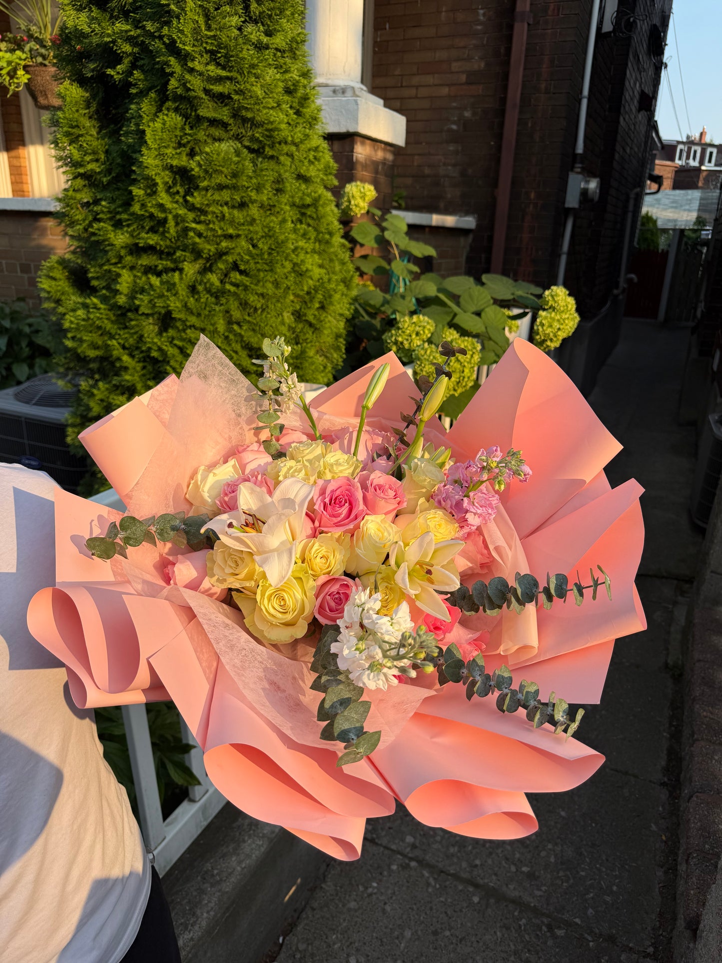 Rose lily love