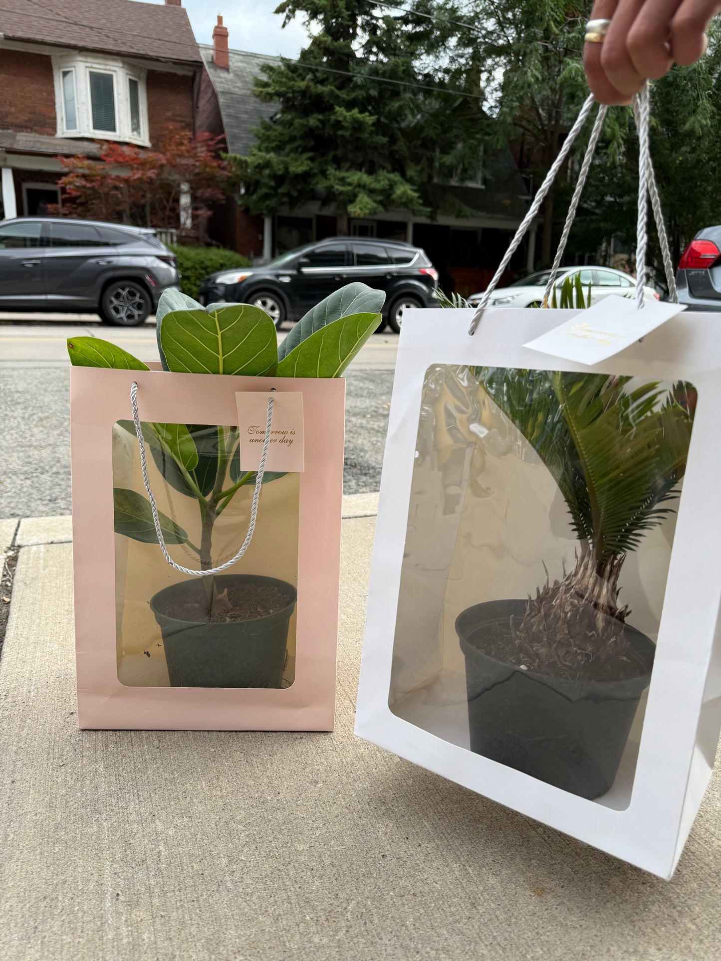 Garden Purse
