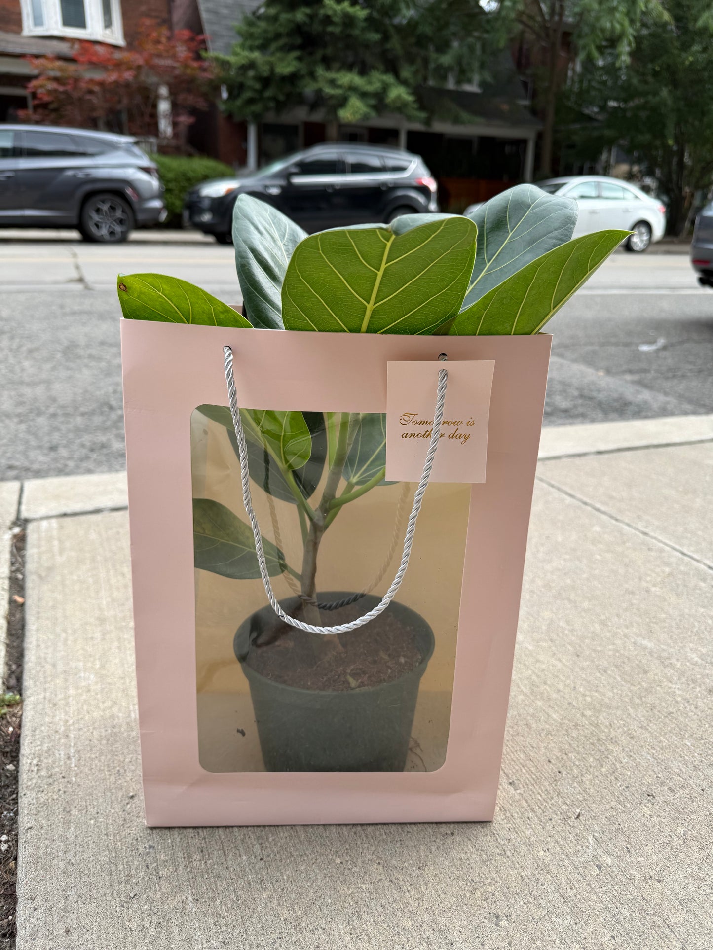 Garden Purse