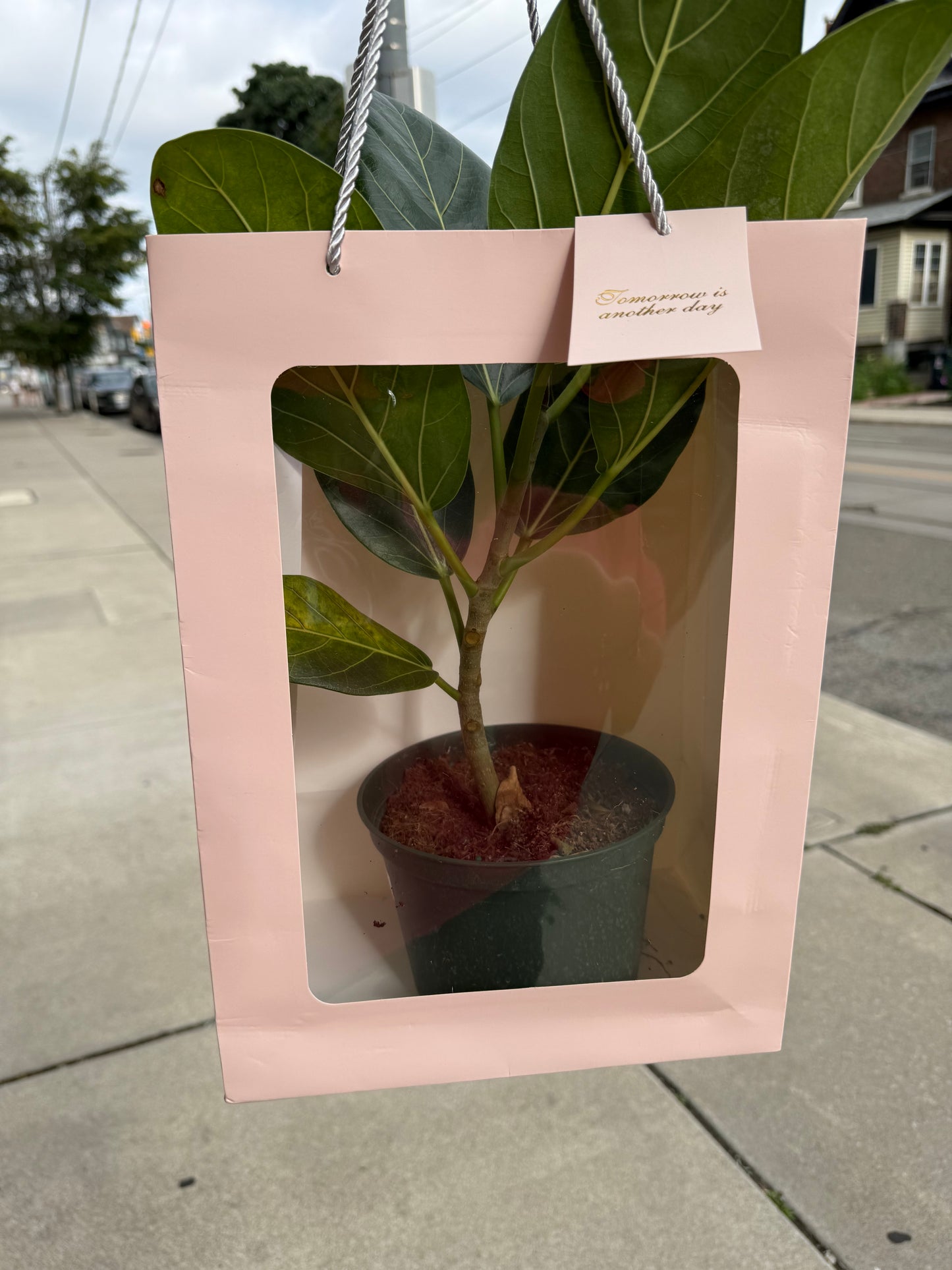 Garden Purse