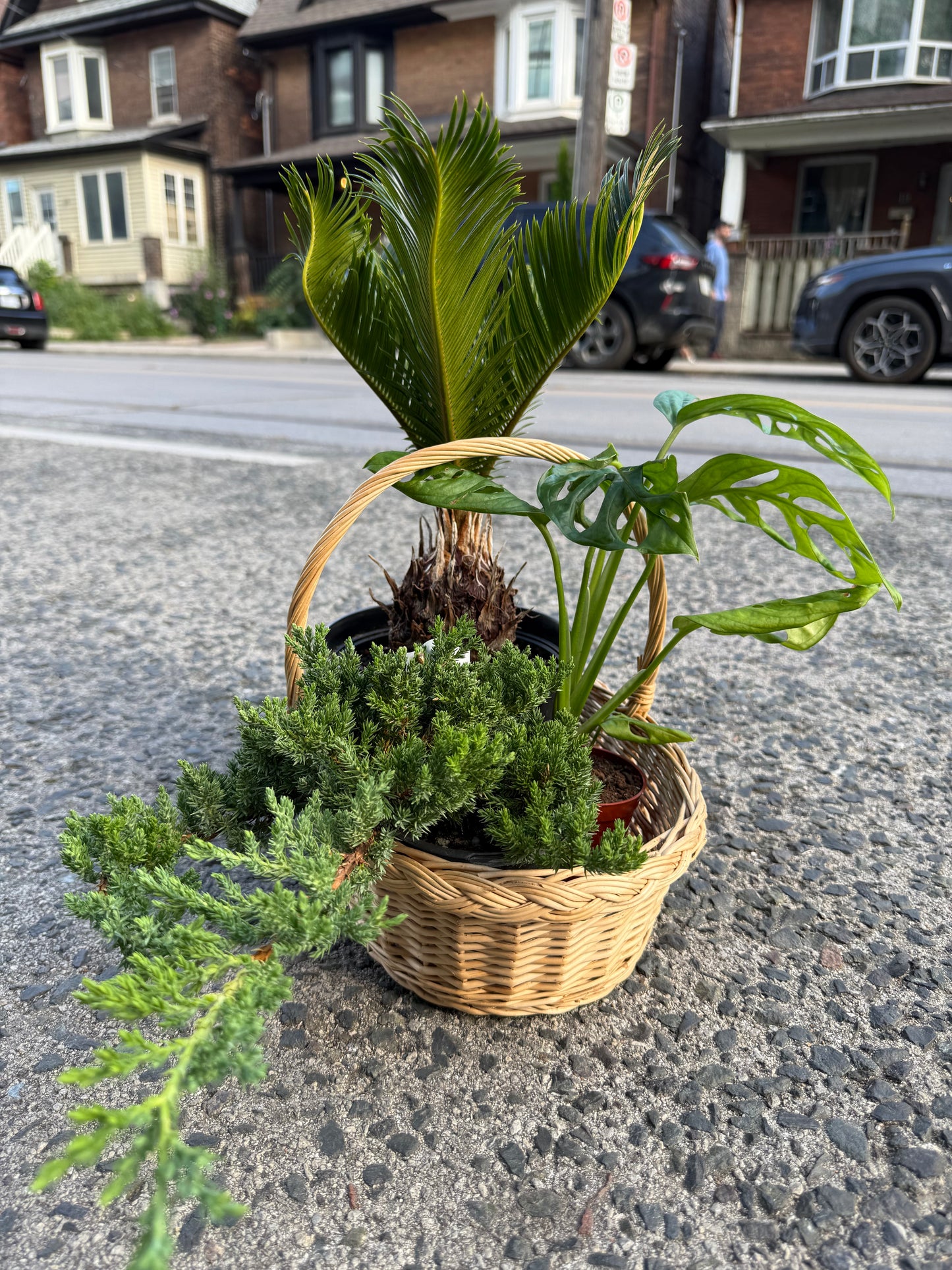 Green grace basket