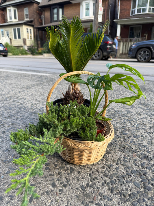 Green grace basket