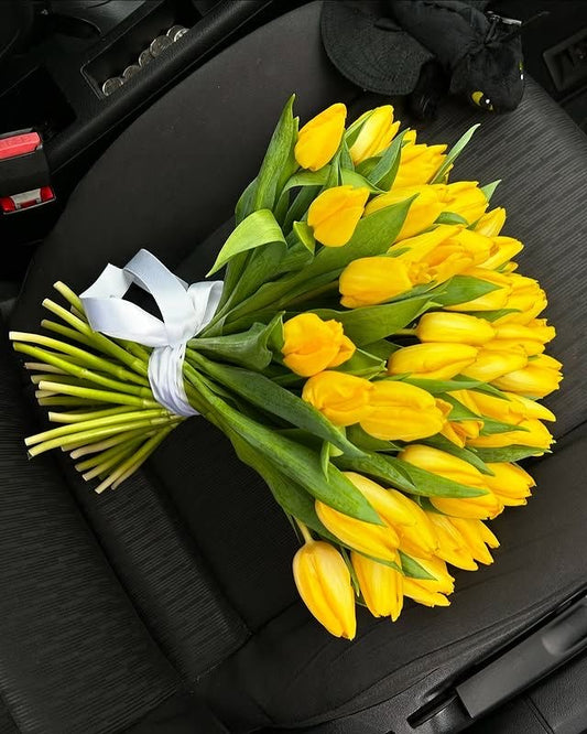 Yellow Tulips