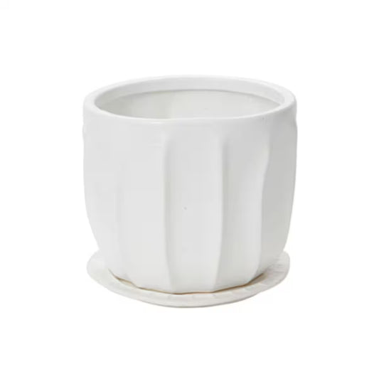 Draken Pot