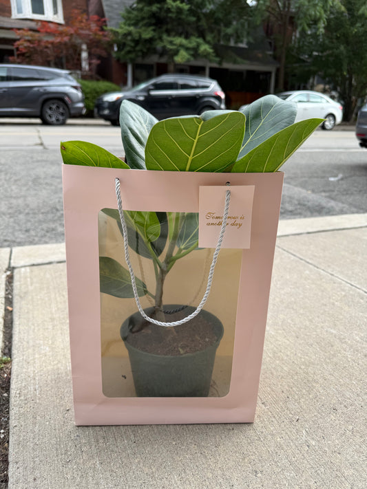 Garden Purse